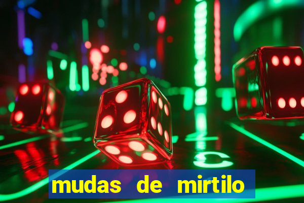 mudas de mirtilo em porto alegre